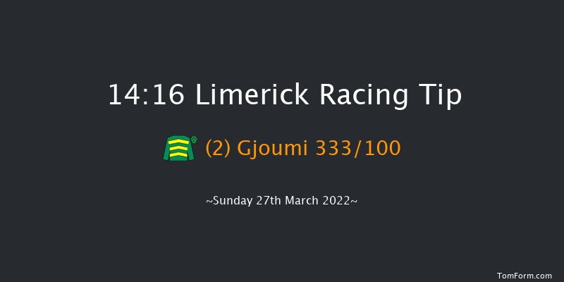 Limerick 14:16 Conditions Hurdle 16f Sun 13th Mar 2022