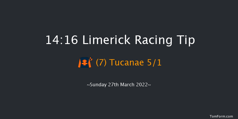 Limerick 14:16 Conditions Hurdle 16f Sun 13th Mar 2022