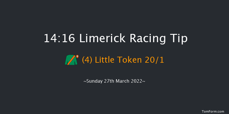 Limerick 14:16 Conditions Hurdle 16f Sun 13th Mar 2022