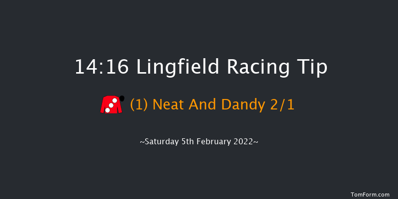 Lingfield 14:16 Handicap (Class 4) 10f Fri 4th Feb 2022