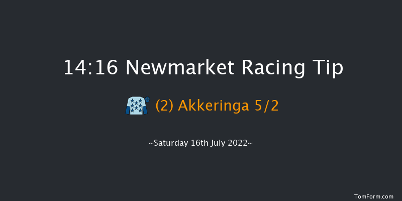 Newmarket 14:16 Handicap (Class 4) 6f Fri 15th Jul 2022