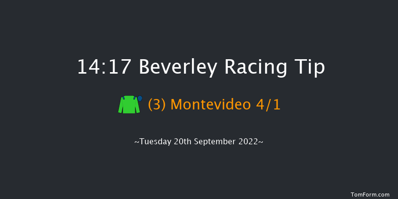 Beverley 14:17 Stakes (Class 5) 8f Wed 14th Sep 2022