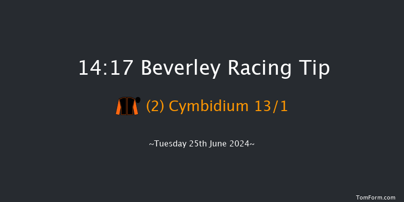 Beverley  14:17 Maiden (Class 5) 7f Tue 18th Jun 2024