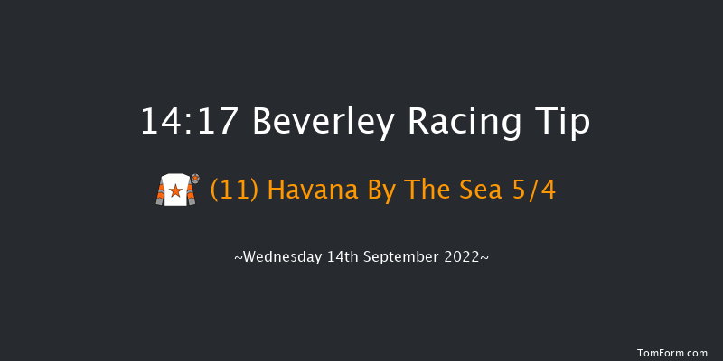 Beverley 14:17 Maiden (Class 5) 5f Sun 28th Aug 2022