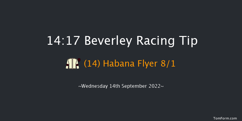 Beverley 14:17 Maiden (Class 5) 5f Sun 28th Aug 2022