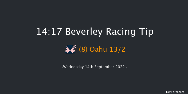 Beverley 14:17 Maiden (Class 5) 5f Sun 28th Aug 2022