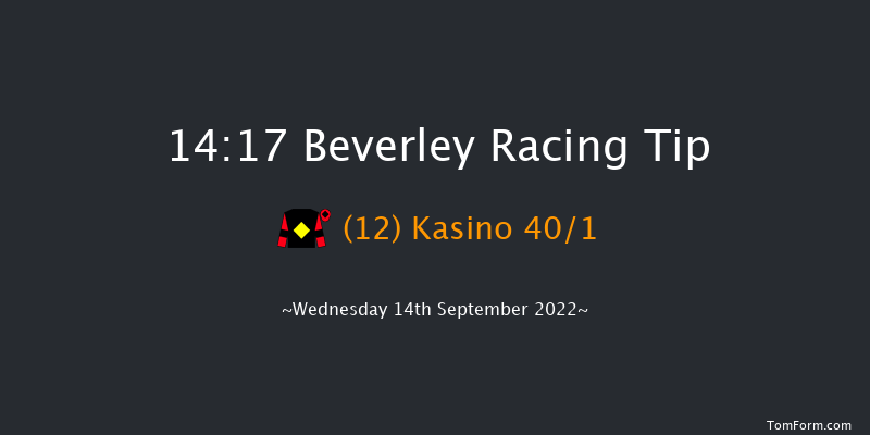 Beverley 14:17 Maiden (Class 5) 5f Sun 28th Aug 2022