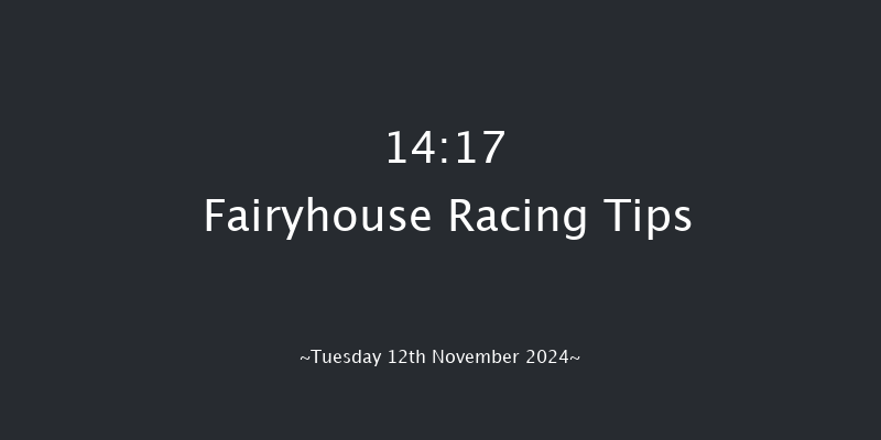 Fairyhouse  14:17 Handicap Chase 24f Tue 5th Nov 2024