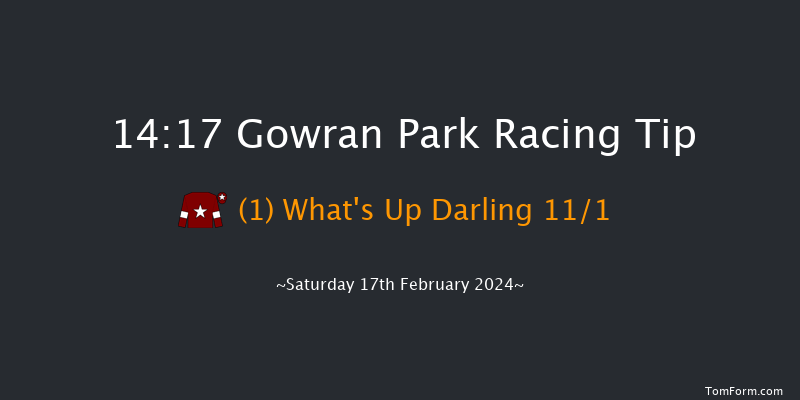 Gowran Park  14:17 Conditions Hurdle 16f Thu 25th Jan 2024