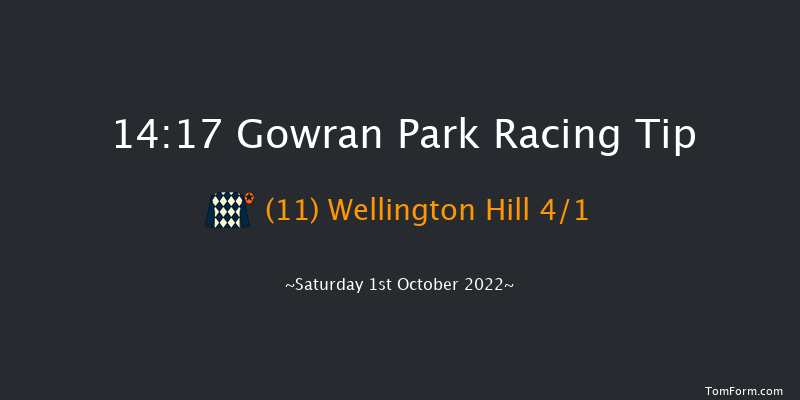 Gowran Park 14:17 Maiden Hurdle 20f Fri 30th Sep 2022