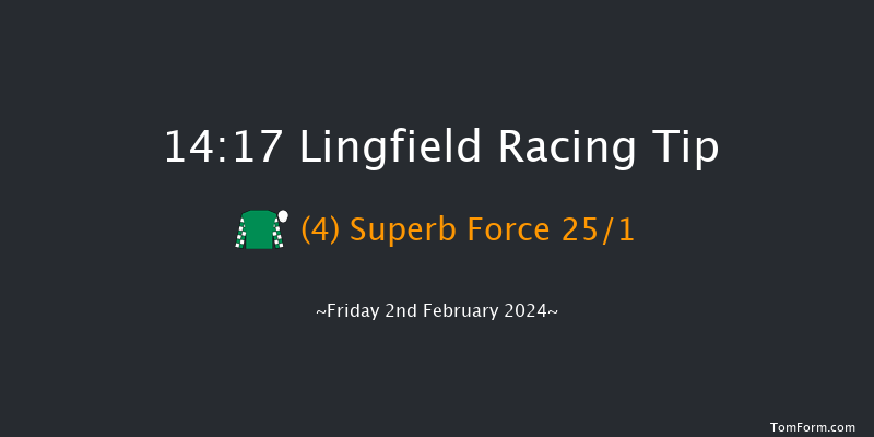 Lingfield  14:17 Maiden (Class 4) 7f Fri 26th Jan 2024