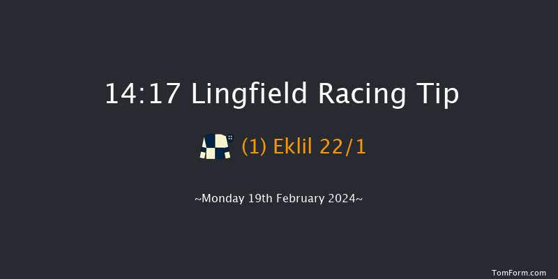 Lingfield  14:17 Handicap (Class 5) 10f Tue 13th Feb 2024