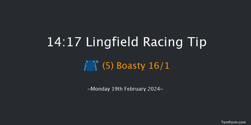 Lingfield  14:17 Handicap (Class 5) 10f Tue 13th Feb 2024