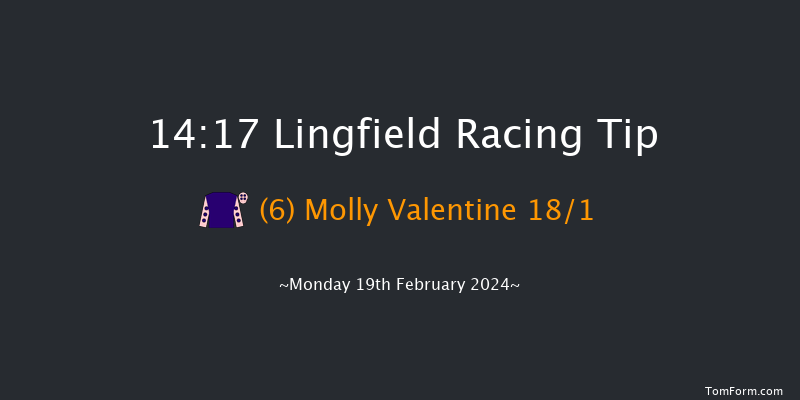 Lingfield  14:17 Handicap (Class 5) 10f Tue 13th Feb 2024