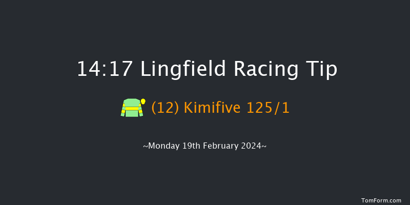 Lingfield  14:17 Handicap (Class 5) 10f Tue 13th Feb 2024