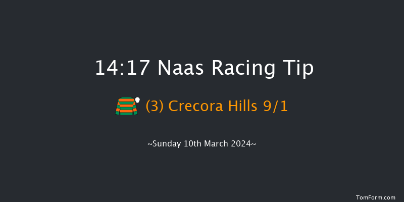 Naas  14:17 Handicap Hurdle 16f Sun 25th Feb 2024