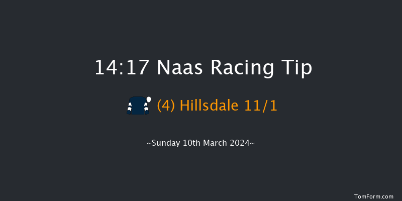 Naas  14:17 Handicap Hurdle 16f Sun 25th Feb 2024