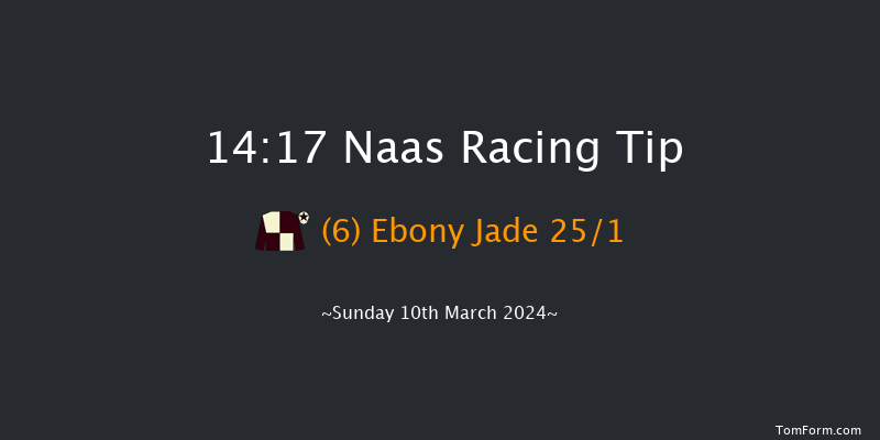 Naas  14:17 Handicap Hurdle 16f Sun 25th Feb 2024