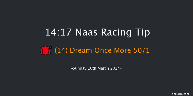 Naas  14:17 Handicap Hurdle 16f Sun 25th Feb 2024