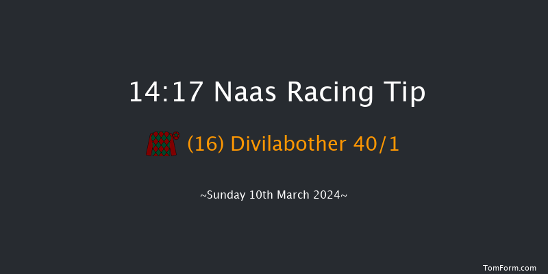 Naas  14:17 Handicap Hurdle 16f Sun 25th Feb 2024