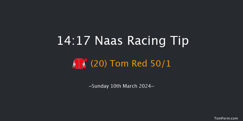 Naas  14:17 Handicap Hurdle 16f Sun 25th Feb 2024