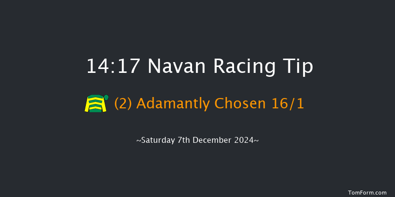 Navan  14:17 Handicap Chase 21f Sun 17th Nov 2024