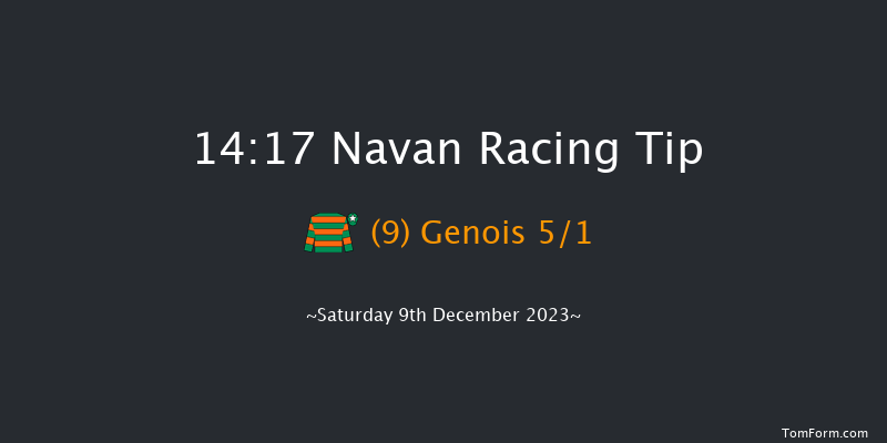 Navan 14:17 Handicap Chase 20f Sun 19th Nov 2023