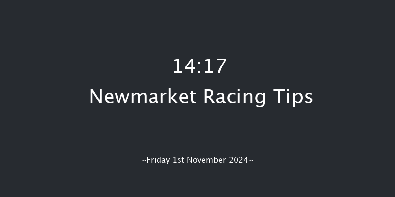 Newmarket  14:17 Stakes (Class 4) 6f Wed 23rd Oct 2024