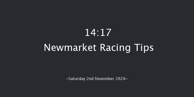 Newmarket  14:17 Handicap (Class 3) 8f Fri 1st Nov 2024