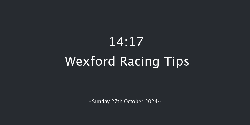 Wexford  14:17 Maiden Hurdle 16f Fri 30th Aug 2024