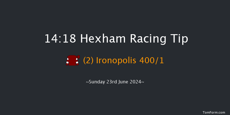 Hexham  14:18 Handicap Hurdle (Class 5) 16f Sat 15th Jun 2024