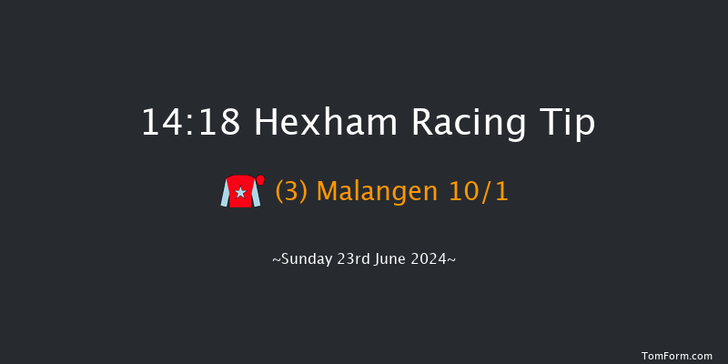 Hexham  14:18 Handicap Hurdle (Class 5) 16f Sat 15th Jun 2024