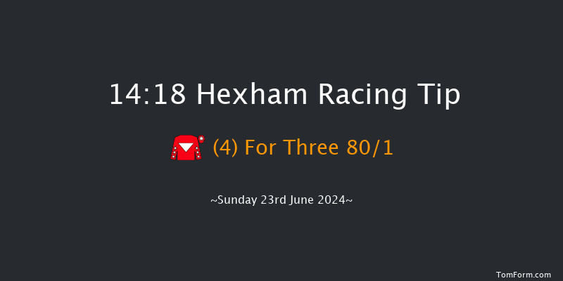 Hexham  14:18 Handicap Hurdle (Class 5) 16f Sat 15th Jun 2024