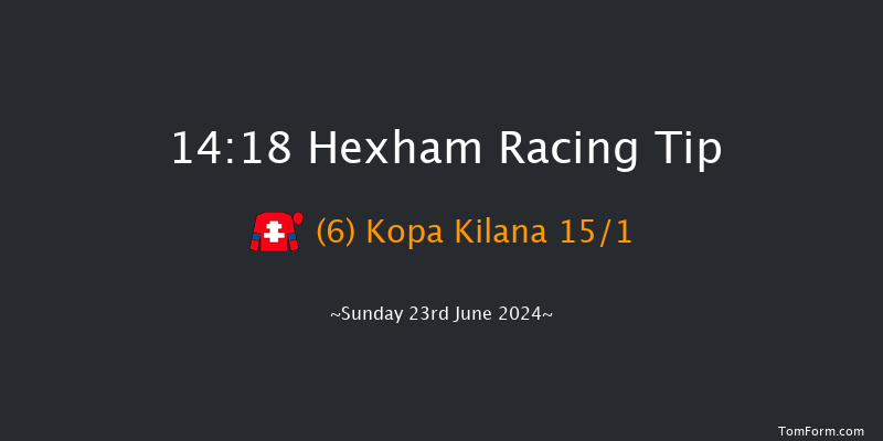 Hexham  14:18 Handicap Hurdle (Class 5) 16f Sat 15th Jun 2024