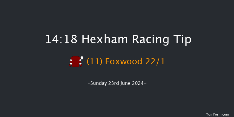 Hexham  14:18 Handicap Hurdle (Class 5) 16f Sat 15th Jun 2024