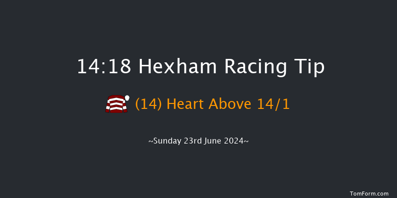 Hexham  14:18 Handicap Hurdle (Class 5) 16f Sat 15th Jun 2024