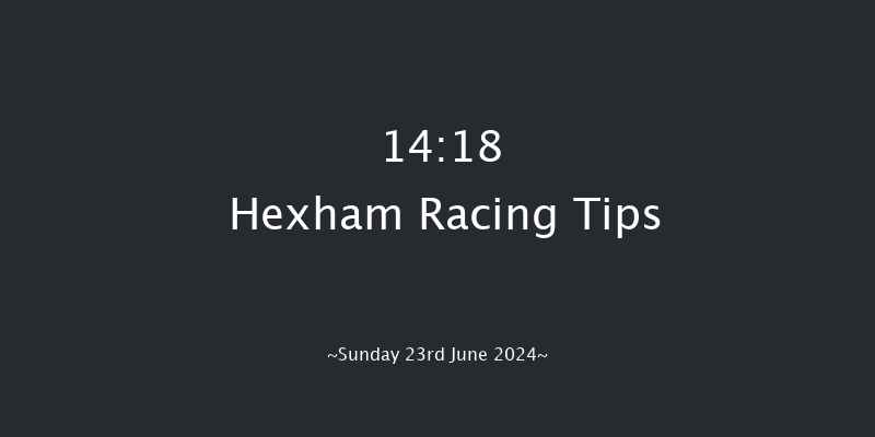 Hexham  14:18 Handicap Hurdle (Class 5) 16f Sat 15th Jun 2024