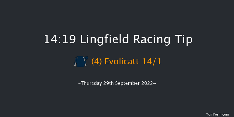 Lingfield 14:19 Handicap (Class 5) 7f Tue 20th Sep 2022