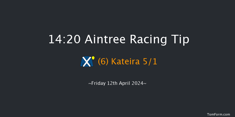 Aintree  14:20 Handicap Hurdle (Class 1)
20f Thu 11th Apr 2024