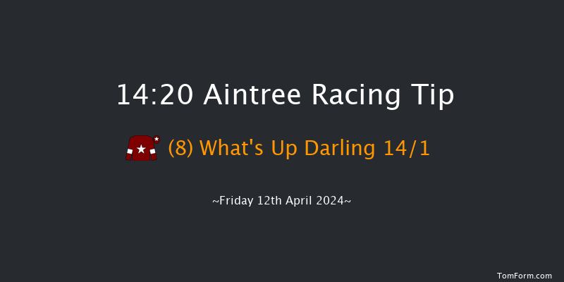 Aintree  14:20 Handicap Hurdle (Class 1)
20f Thu 11th Apr 2024