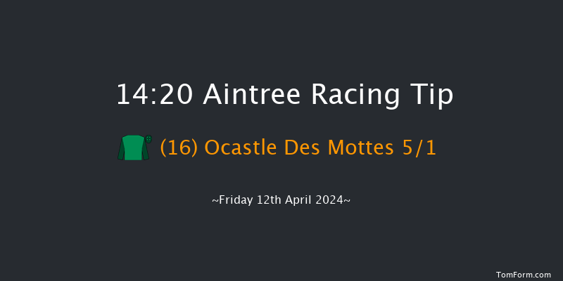 Aintree  14:20 Handicap Hurdle (Class 1)
20f Thu 11th Apr 2024