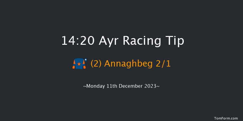 Ayr 14:20 Novices Hurdle (Class 4) 21f Mon 4th Dec 2023