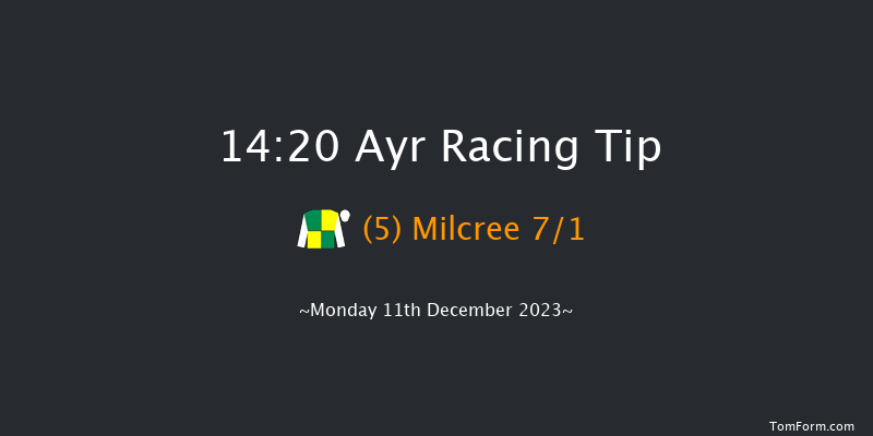 Ayr 14:20 Novices Hurdle (Class 4) 21f Mon 4th Dec 2023