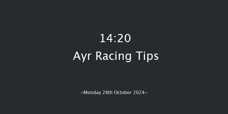 Ayr  14:20 Handicap Hurdle (Class 5) 20f Thu 10th Oct 2024