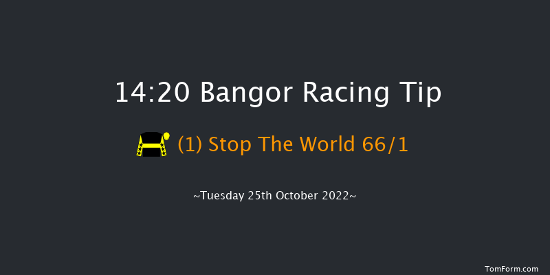 Bangor 14:20 Handicap Chase (Class 4) 24f Wed 28th Sep 2022