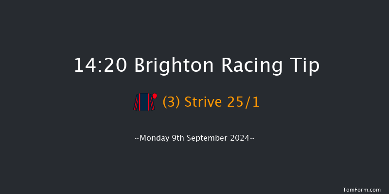 Brighton  14:20 Handicap (Class 6) 8f Mon 2nd Sep 2024