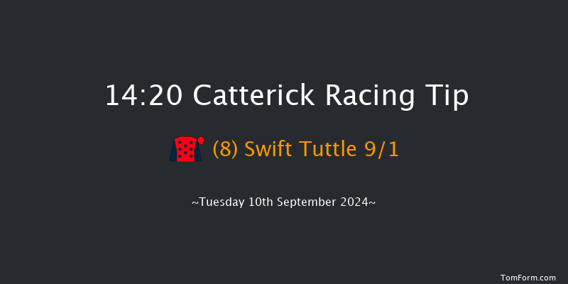 Catterick  14:20 Handicap (Class 5) 14f  Wed 28th Aug 2024