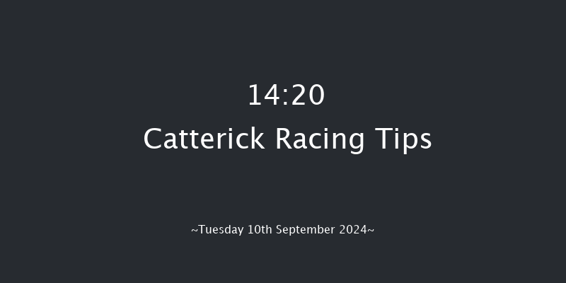 Catterick  14:20 Handicap (Class 5) 14f  Wed 28th Aug 2024