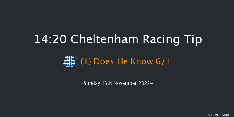 Cheltenham 14:20 Handicap Chase (Class 1) 27f Sat 12th Nov 2022