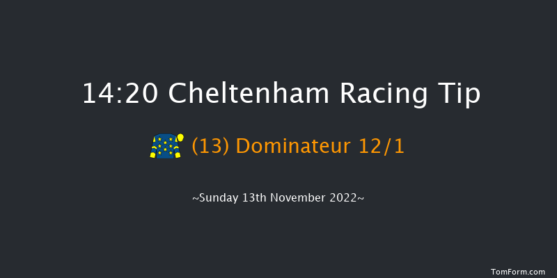 Cheltenham 14:20 Handicap Chase (Class 1) 27f Sat 12th Nov 2022